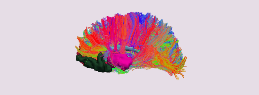 Pensamientos de Éxito